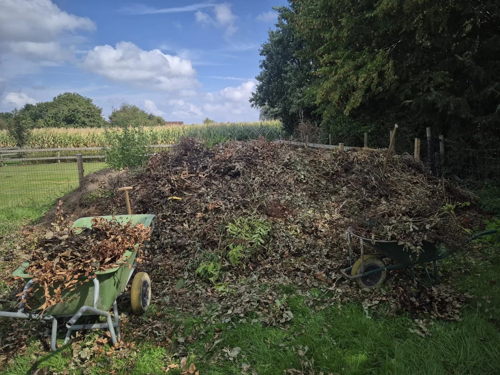 Grote berg snoeihout, bladeren en groenafval met een kruiwagen in een tuin in Limburg, voor de opruiming door BR-ontruimingen